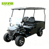 2 Passengers Buggy Utility Vehicle for Sale With Cargo Box Trolley Electric Golf Carts