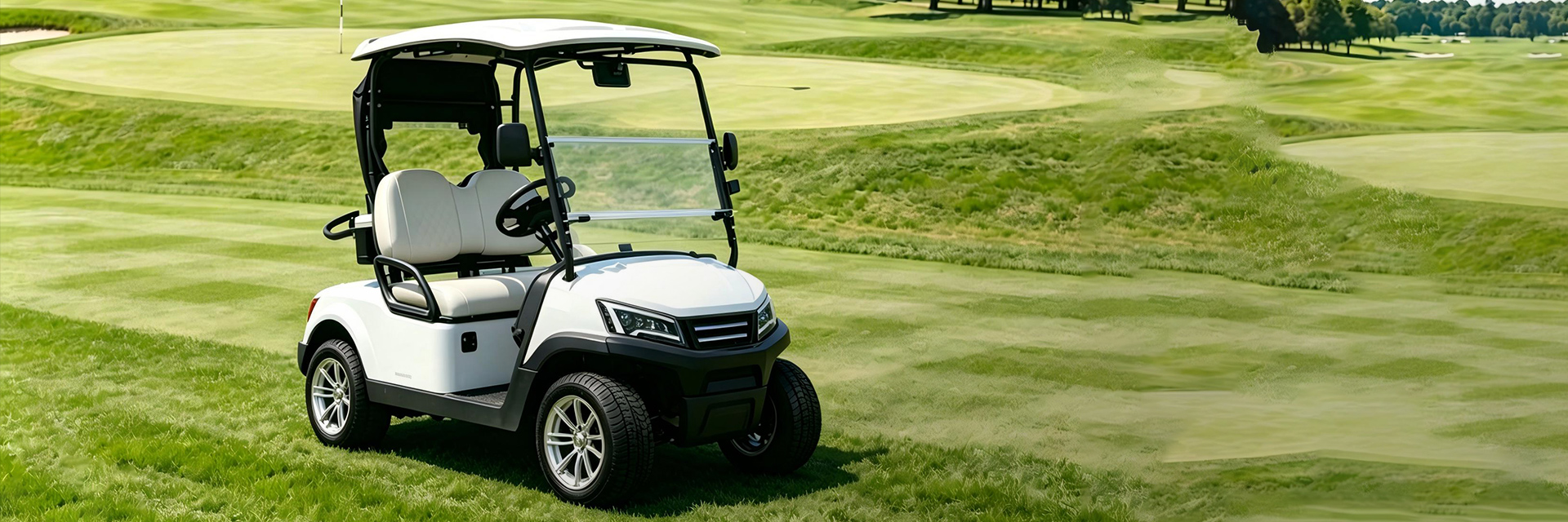 2 seater electric golf cart for golf course and country club transport