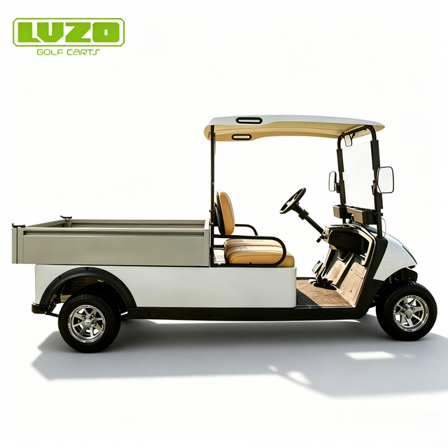 SH-BY020THD Cargo Buggy