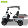 2 Passengers Buggy Utility Vehicle for Sale With Cargo Box Trolley Electric Golf Carts