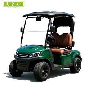 Wholesale Luxury 2 Seater Electric Golf car Buggy for Sale