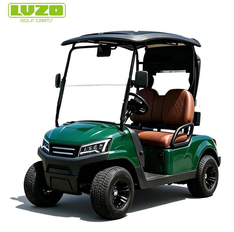 Wholesale Luxury 2 Seater Electric Golf car Buggy for Sale