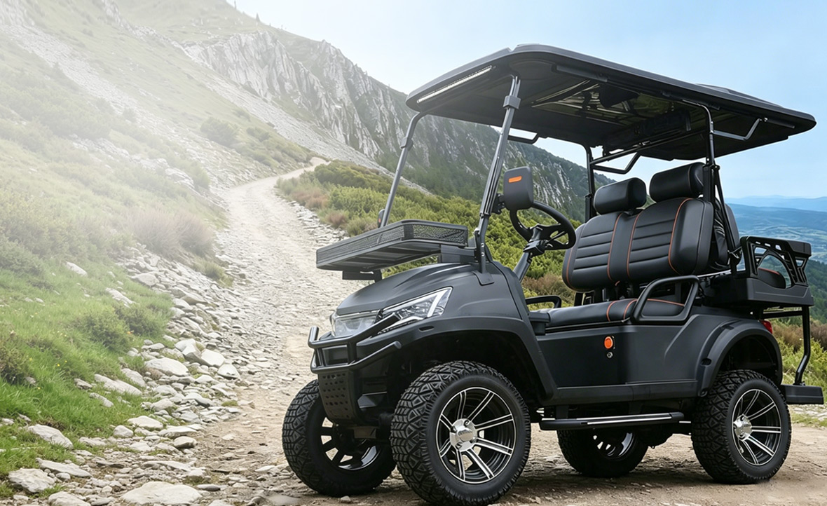 Gas golf cart with powerful gasoline engine for climbing and load capacity