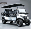 4 Seater Electric Golf Cart buggy with EPS for Tourist Sightseeing